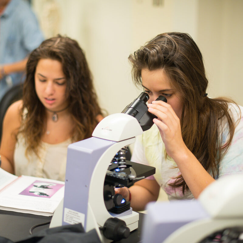 Female student looking in microscope while fellow student browses text book